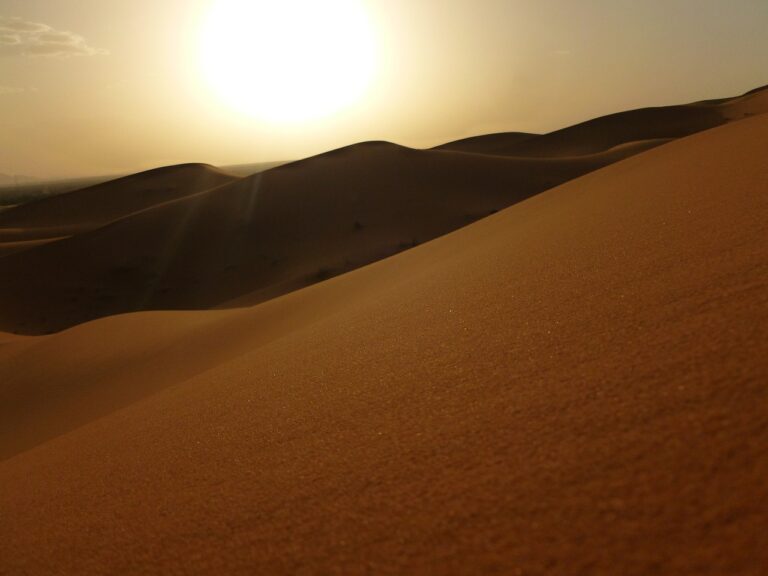 « Merzouga »: A Desert Oasis in Morocco