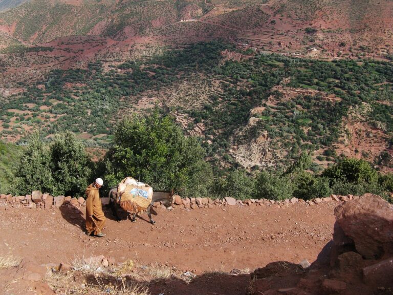 Visiting a Berber village